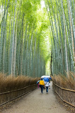 Arashiyama, Japan 