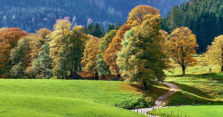 A lonely long road leading to a new place signifying goals for new year